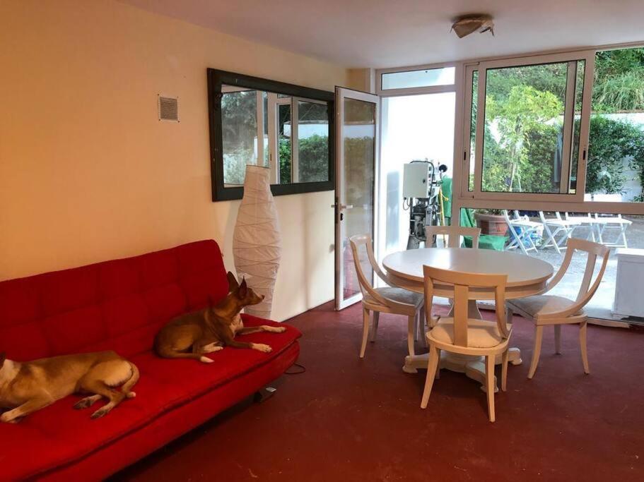 Matadepera Apartamento Abierto Con Patio מראה חיצוני תמונה